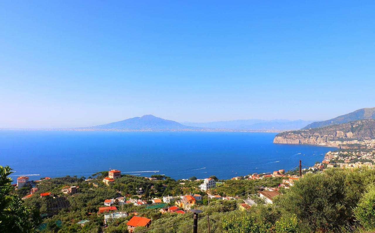La Rosa Del Sud - De Vivo Realty Sorrento Apartment Exterior photo